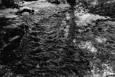 ABA2001013W00054-23.jpg (370018 bytes)